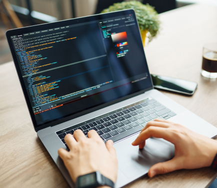 Web Designing Services